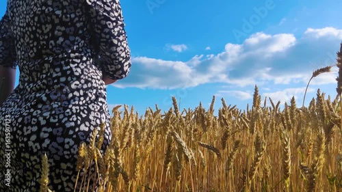 A girl near a field of growing wheat runs her hand over the ears, unripe and unripe, harvest time and grain harvest, against a background of blue sky and clouds
