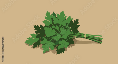 Parsley Fresh bunch tied loosely, flat illustration. Brown background with subtle shadow