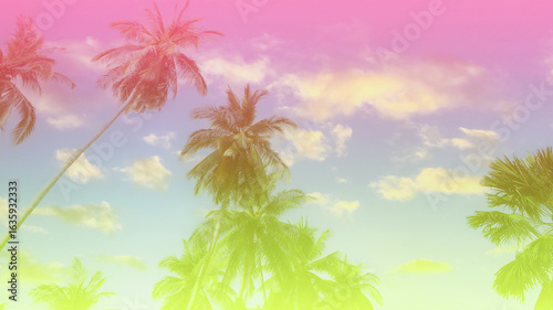 Fototapeta Naklejka Na Ścianę i Meble -  Silhouette of palm trees at sunset. Silhouette palm tree at tropical beach background