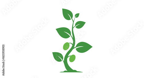 Green plant vector stalk with leaves and oval shapes on white background