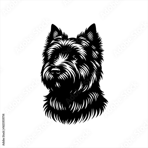 Black and white illustration of a west highland white terrier dog face