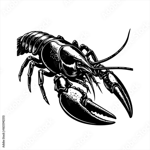 Detailed black and white illustration of a crawfish