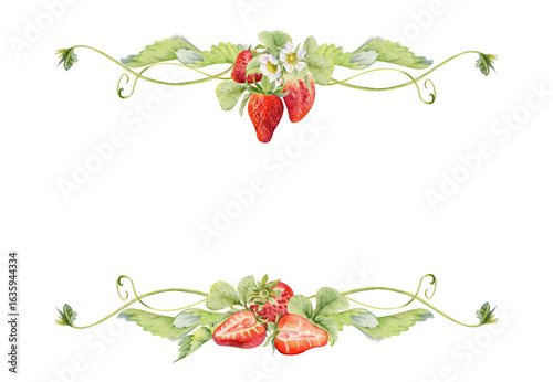 Strawberry hanging on stems with vines tendrils, ripe garden berry pineberry strasberry. Isolated hand drawn watercolor vignette frame. Farmers market, eco gardening calendar, food packaging cards