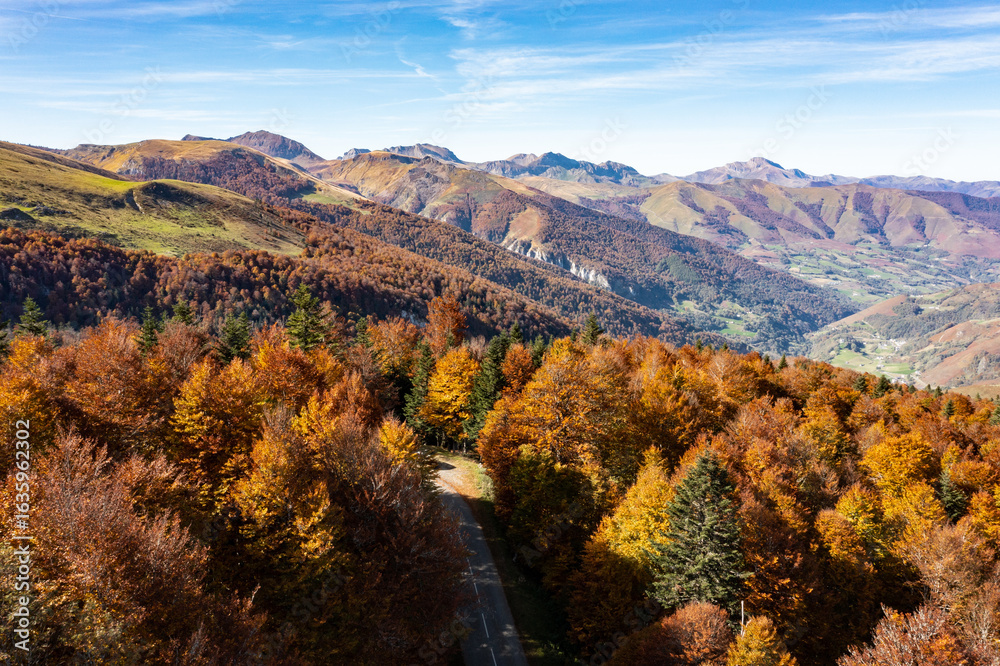 Obraz premium Une forêt de sapins et de hêtres en automne dans des vallées du Pays-Basque