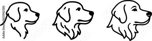 Golden retriever dog head side profile outline vector