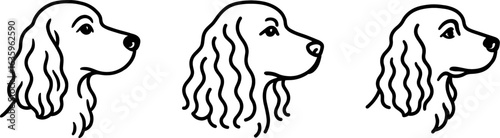 English springer spaniel dog head side profile outline vector