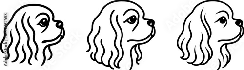 Cavalier king charles spaniel dog head side profile outline vecto