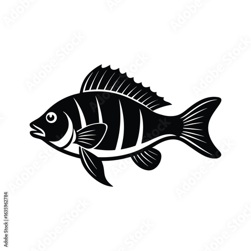 yellow perch silhouette swimming forward natural .eps