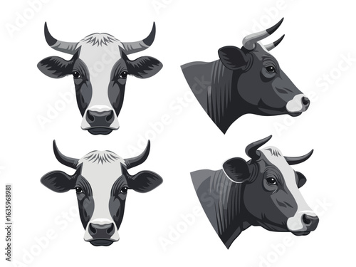 Cattle Portrait Set: Four detailed portraits of bovine heads, highlighting different angles and breeds, are displayed, perfectly rendered with sharp detail. 