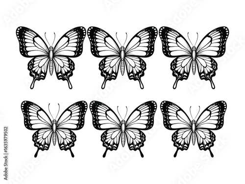 Butterfly Pattern: An intricate illustration showcases six butterflies, each a marvel of design. Their delicate wings are filled with detailed patterns. Capturing a symmetrical arrangement.