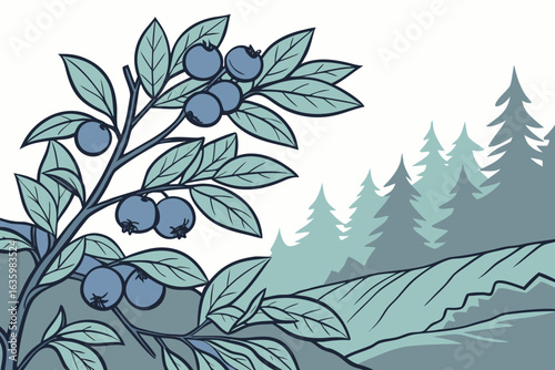 Blueberries thrive in Maine’s acidic soil and cool climate, with wild Maine blueberries celebrated for their flavor and antioxidant richness.