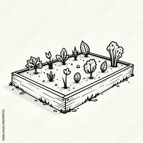 Line drawing of a vegetable garden bed with growing plants on a light background