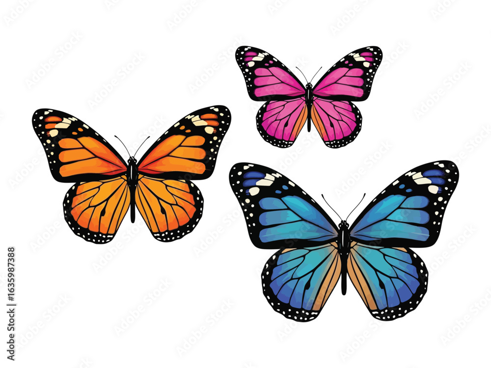 Obraz premium Enchanting Trio of Fluttering Butterflies: Captivating a moment of elegance, these multi-colored butterflies showcase the delicate beauty and vibrant essence of nature.