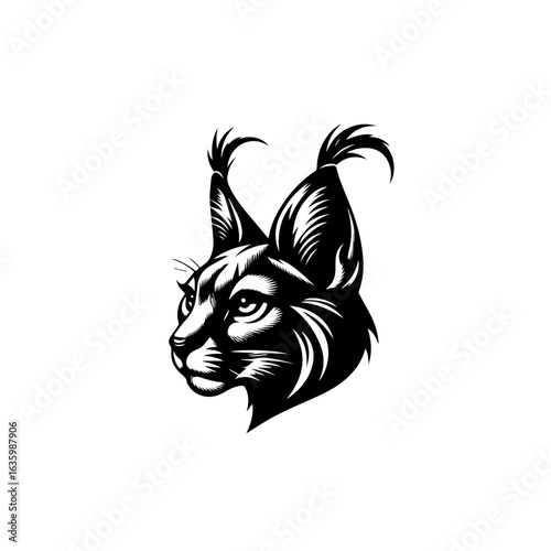Lynx head portrait, isolated on white background