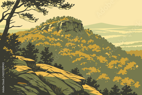Cheaha Mountain’s highest point in Alabama with sweeping views of the Talladega National Forest.