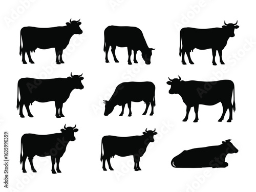 Cattle Silhouettes Collection: A sleek, vector-based compilation showcases a variety of cow silhouettes, each expertly rendered to capture the essence of rural livestock in its different postures.