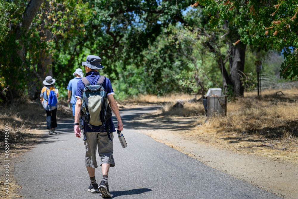 Fototapeta premium A group of friends walking in the bush in summer. Wakeable suburb in California.