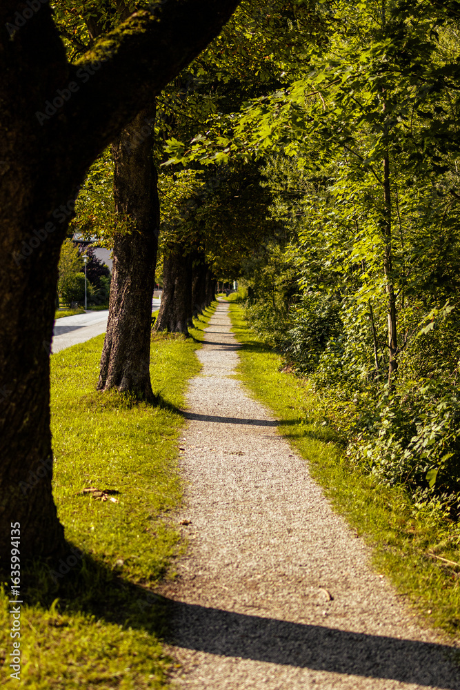 Naklejka premium Fotowalk Pfarrwerfen -Bahnhof Werfen - Erzherzog Eugen - Allee