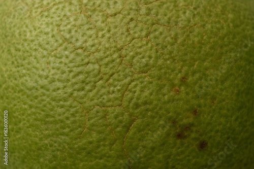Surface of Local Pomelo Skin with Fine Cracks from Heat and Manual Harvesting_3