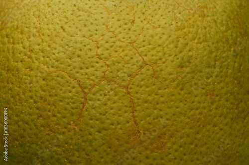 Surface of Local Pomelo Skin with Fine Cracks from Heat and Manual Harvesting_4