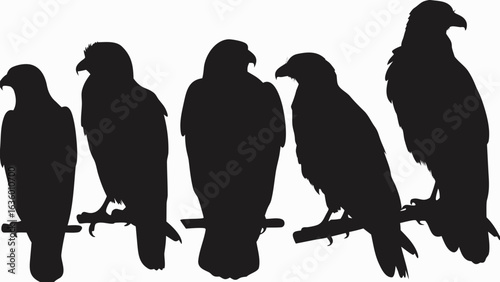 Penguin Silhouette Vector Illustration