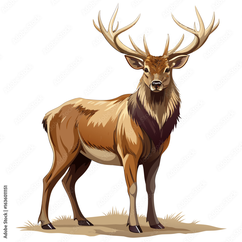 Fototapeta premium Deer with Antlers Illustration