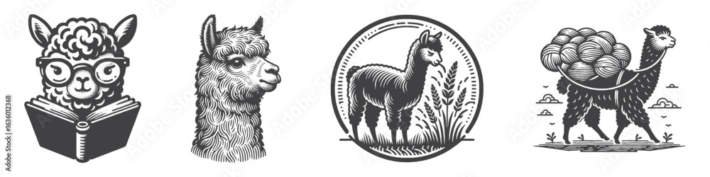 Obraz premium Vintage Hand-Drawn Alpaca Smart Illustration, Intellectual Style Engraved Vector for Education and T-Shirt Design