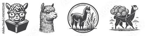 Vintage Hand-Drawn Alpaca Smart Illustration, Intellectual Style Engraved Vector for Education and T-Shirt Design