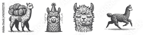 Vintage Hand-Drawn Alpaca Relaxing Face Illustration, Calm Expression Engraved Vector for Animal and T-Shirt Design