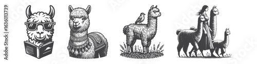 Vintage Hand-Drawn Alpaca With Girl Illustration, Friendship Engraved Vector for Nature and T-Shirt Design
