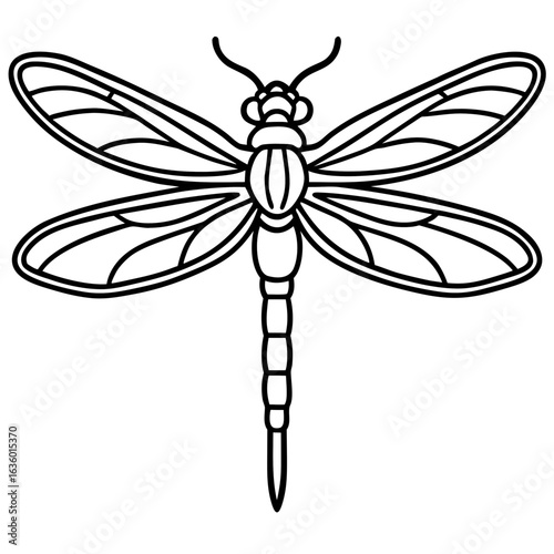 Elegant Dragonfly Line Illustration
