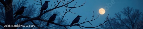 Many crows perched on leafless branches at night, flock, roosting, birds