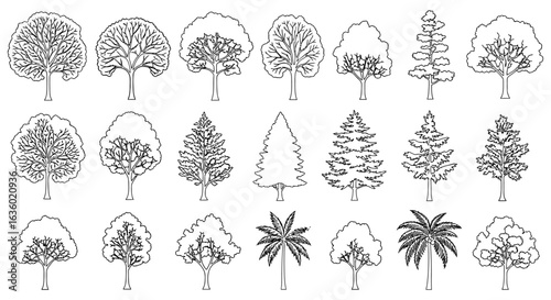A comprehensive set of black and white line art illustrations showcasing diverse tree species, including deciduous, evergreen, and palm, perfect for graphic design.