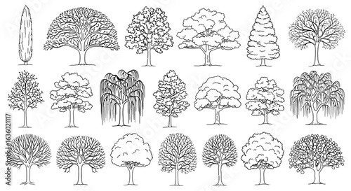 A comprehensive collection of hand-drawn tree outlines, illustrating various species and their unique botanical shapes, perfect for design projects.