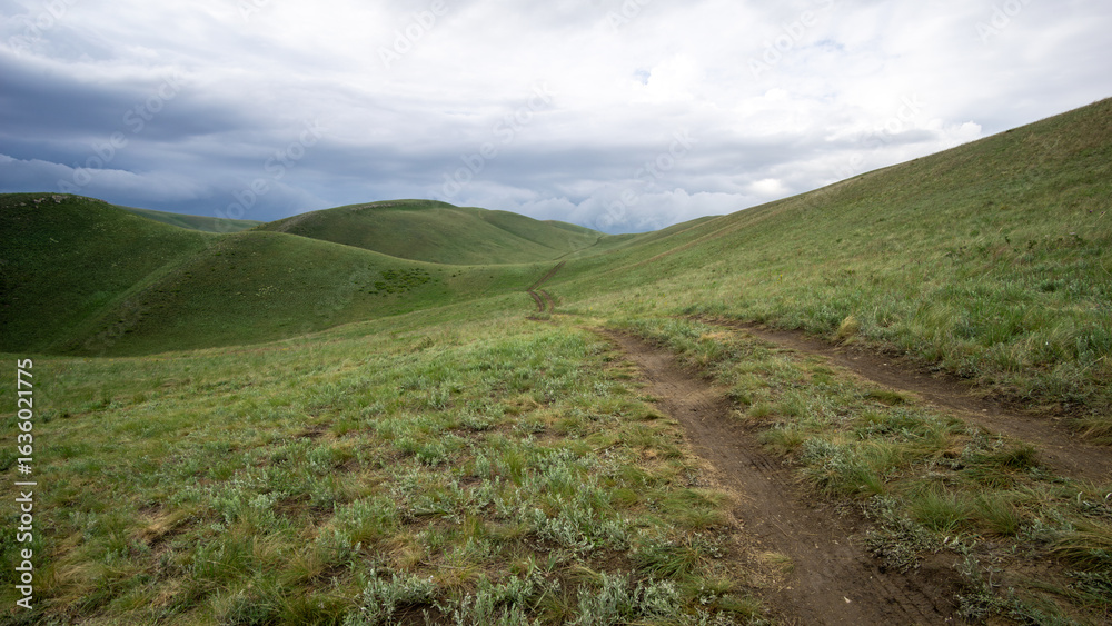 Fototapeta premium Long mountains. Rolling green hills with a winding dirt path leading through lush grasslands under a cloudy sky, showcasing the beauty of nature and outdoor exploration