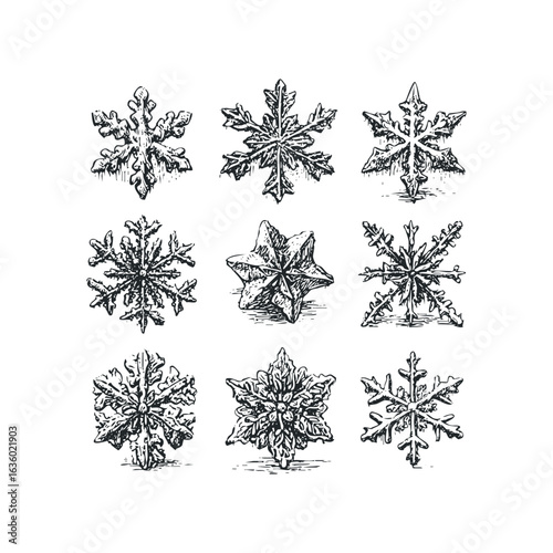Detailed Ink Drawings of Nine Unique Snowflakes. Hand drawn vector illustration.