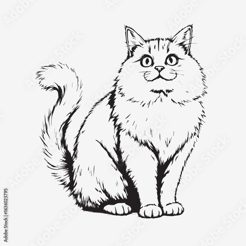 Fluffy cat line art vector illustration in black and white style, perfect for pet, animal, tattoo, and decorative design themes