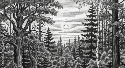 A captivating black and white illustration portrays a dense, mystical forest under a cloudy sky, with a glowing celestial body illuminating the ancient trees.