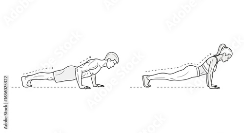 An illustrative depiction of a man and a woman demonstrating the correct form for push-up exercises, emphasizing proper body alignment for effective strength training.
