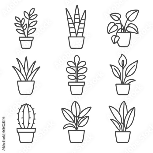 Line Style Houseplants Icons. Line style icons of low-maintenance houseplants: ZZ plant, snake plant, pothos, aloe, jade plant,
