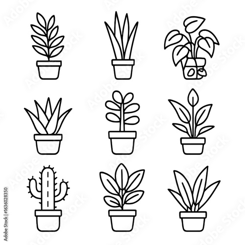 Line Style Houseplants Icons. Line style icons of low-maintenance houseplants: ZZ plant, snake plant, pothos, aloe, jade plant,