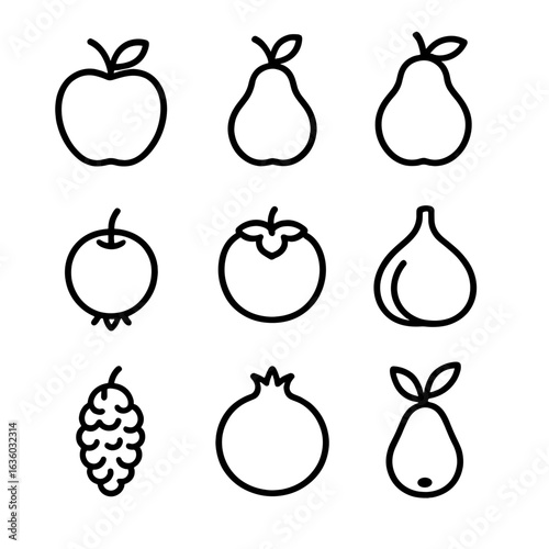 Orchard Fruit Icons. Line style icons of Orchard Favorites: apple, pear, quince, medlar, persimmon, fig, mulberry, pomegranate,