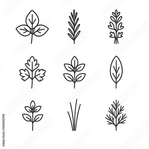 Herb Garden Icons. Line style icons of Herb Garden Favorites: basil leaf, rosemary sprig, thyme bunch, parsley cluster, mint stem,