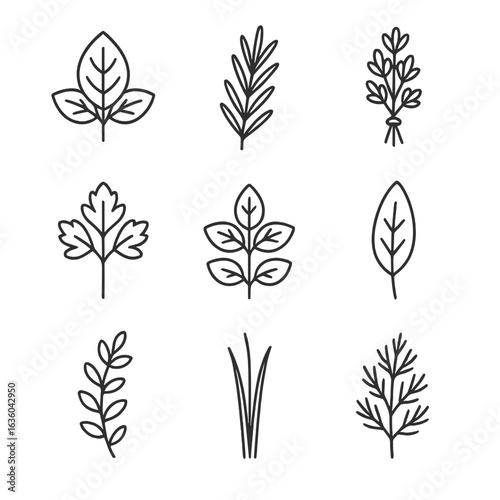 Herb Garden Icons. Line style icons of Herb Garden Favorites: basil leaf, rosemary sprig, thyme bunch, parsley cluster, mint stem,