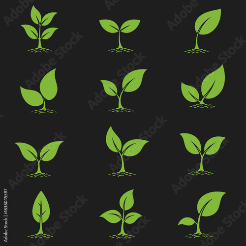 Green leafy plants