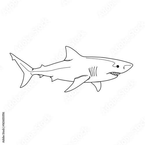 Cartoon shark swimming in outline style on white background  