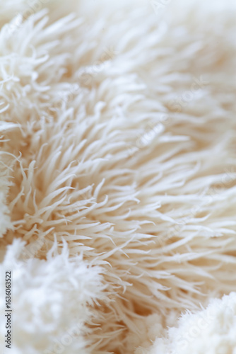 Lion's mane - Hericium erinaceus, medicinal mushroom contains  phytochemicals: polysaccharides,  β-glucan, hericenones and erinacines  - that promote nerve growth factor in human brain.