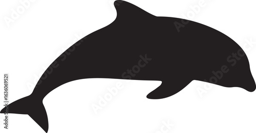 Stylized harbour porpoise illustration with vibrant colors