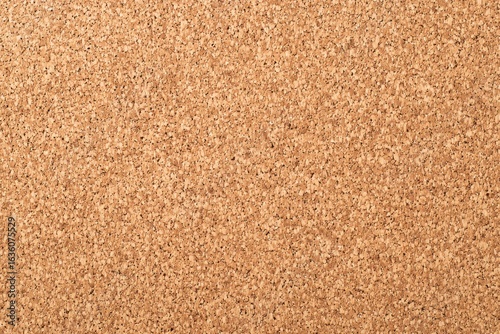 Empty corkboard background with copy space, horizontal