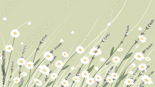 Illustration of a field with white daisies and lavender against a soft green background in a gentle breeze